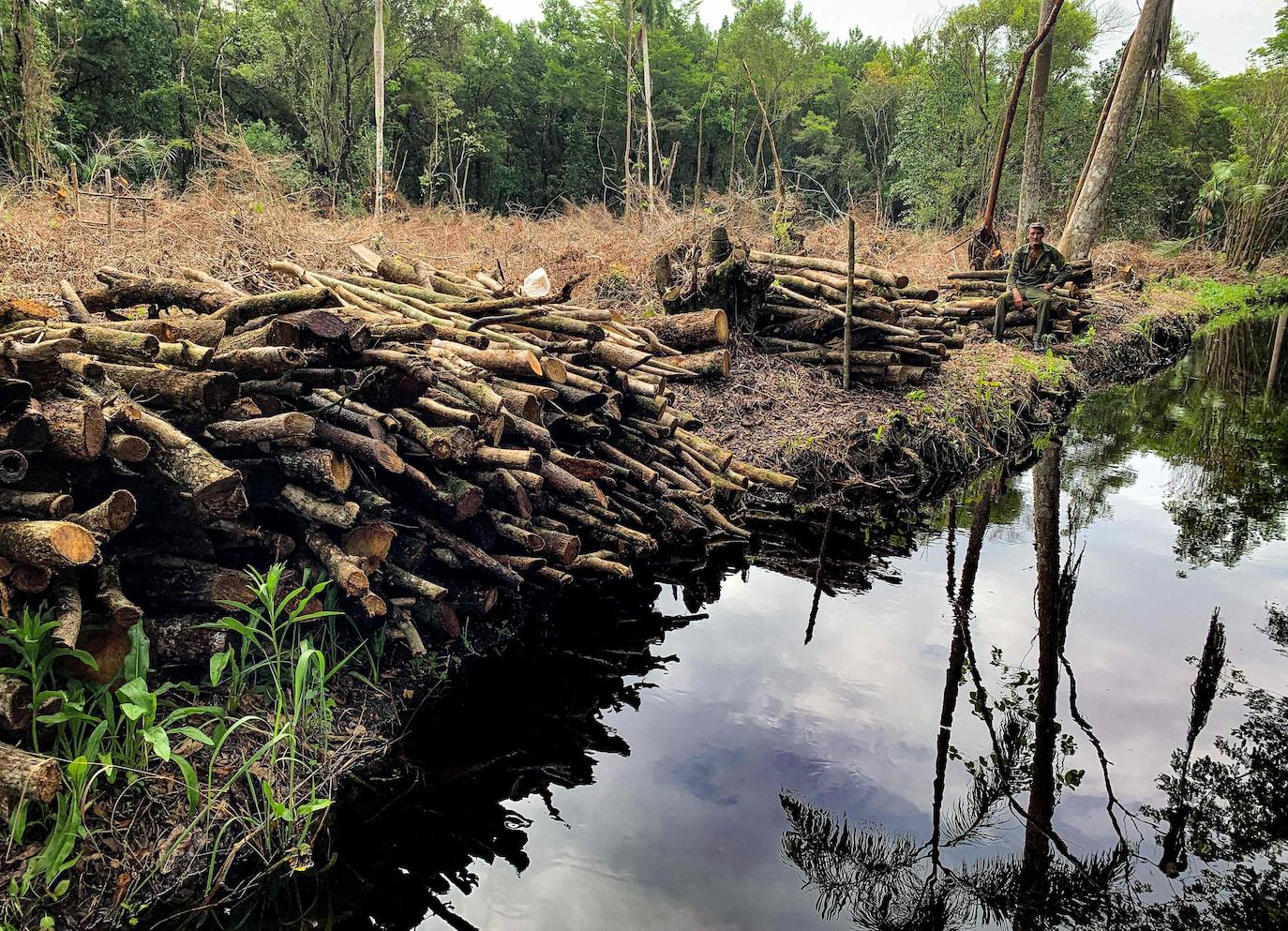 Los campesinos cubanos del Parque Nacional Ciénaga de Zapata, en Cuba, elaboran carbón vegetal con los mismos métodos y utensilios que sus antepasados, pero replantando árboles cortados.