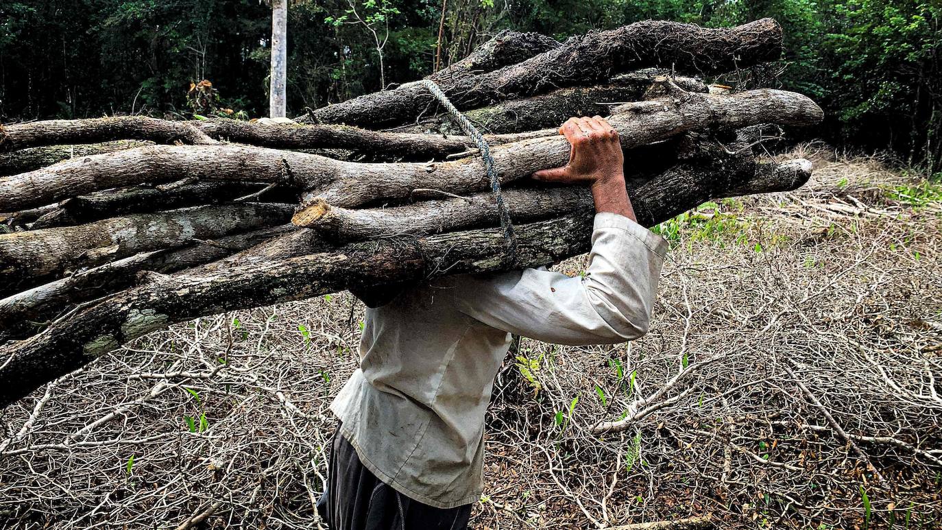 Los campesinos cubanos del Parque Nacional Ciénaga de Zapata, en Cuba, elaboran carbón vegetal con los mismos métodos y utensilios que sus antepasados, pero replantando árboles cortados.