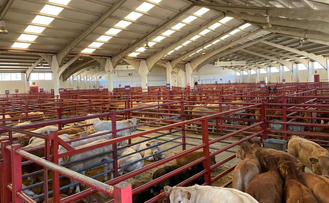 Naves del mercado de ganados de Salamanca. 