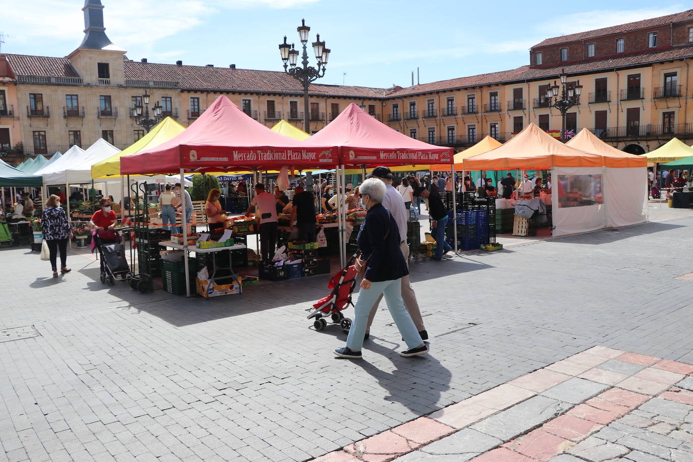 Fotos: De la huerta a la mesa, pasando por el mercado