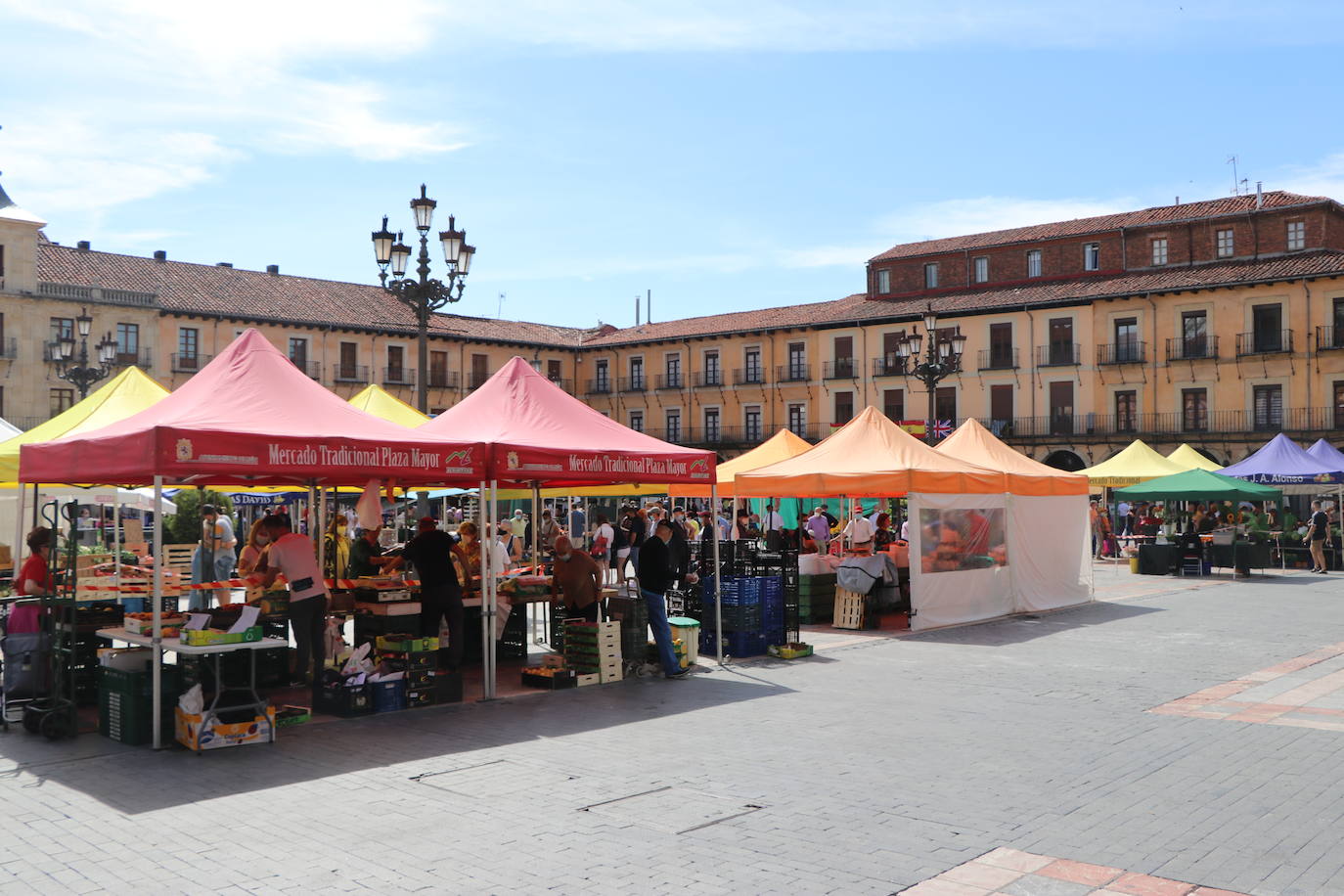 Fotos: De la huerta a la mesa, pasando por el mercado