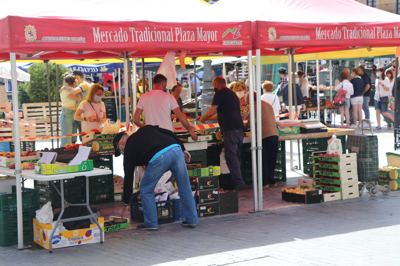 Fotos: De la huerta a la mesa, pasando por el mercado