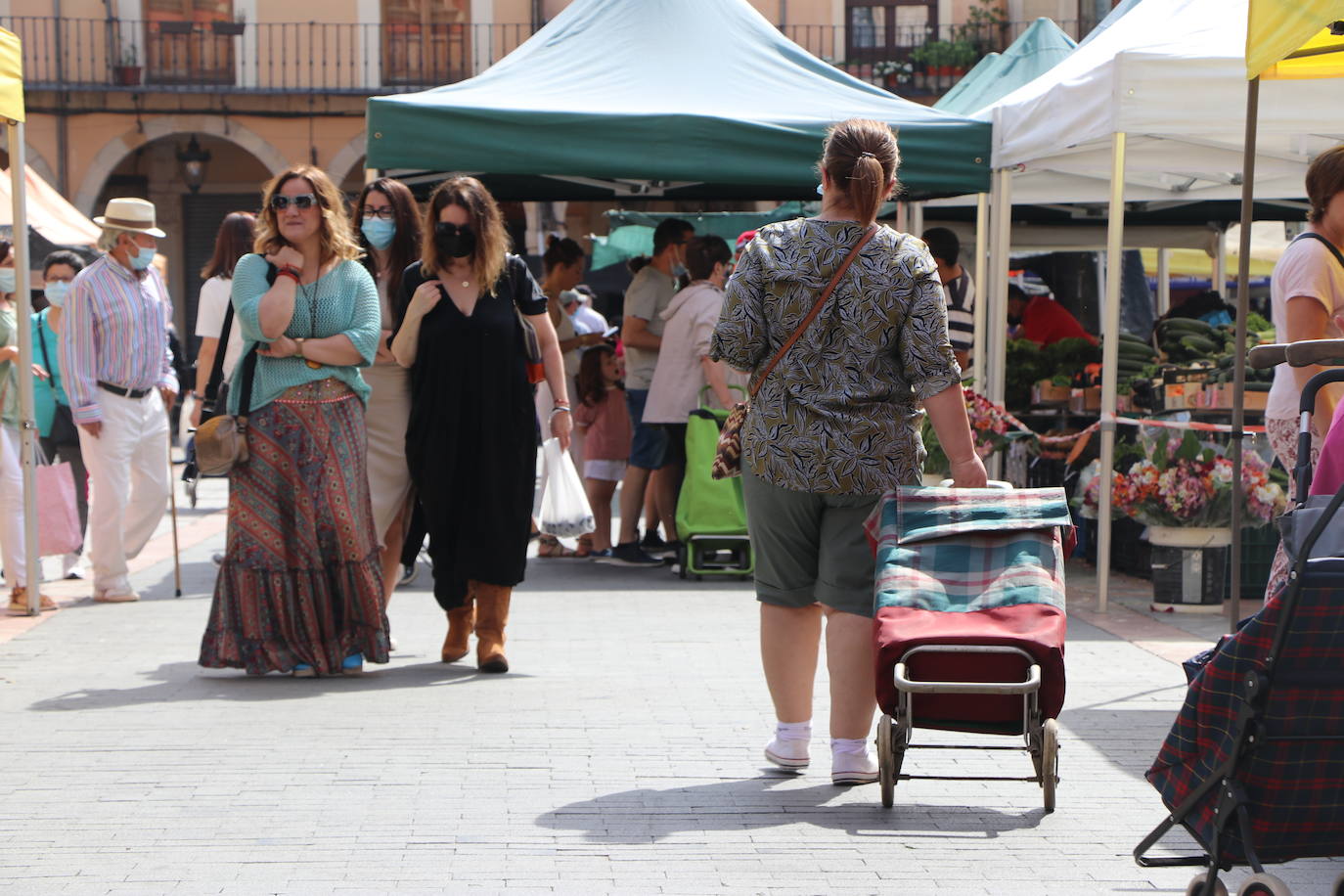 Fotos: De la huerta a la mesa, pasando por el mercado