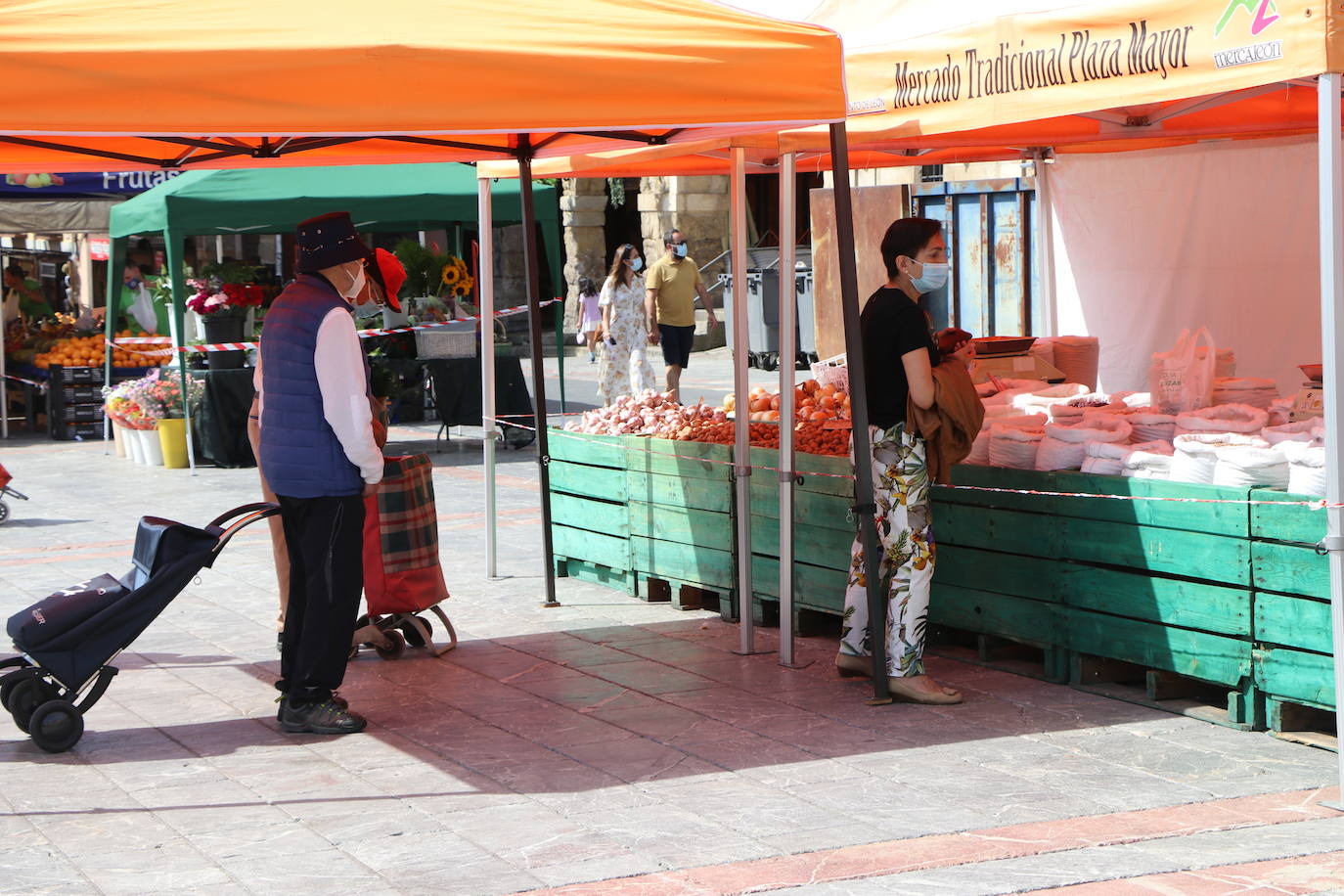 Fotos: De la huerta a la mesa, pasando por el mercado