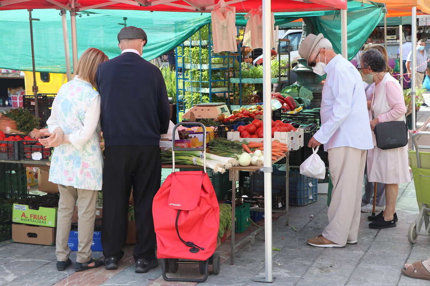 Fotos: De la huerta a la mesa, pasando por el mercado