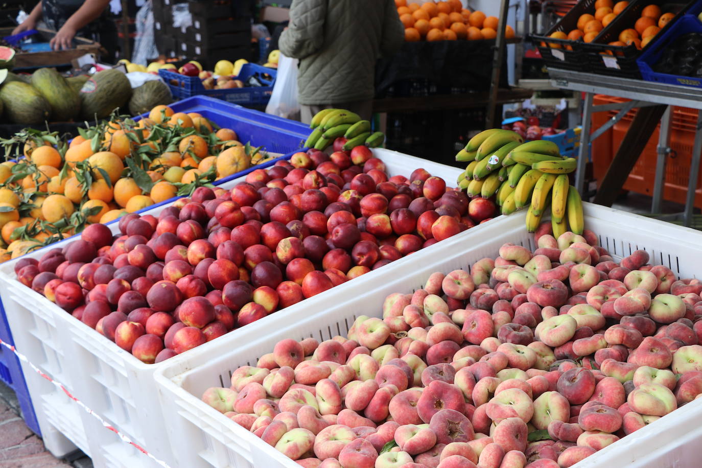 Fotos: De la huerta a la mesa, pasando por el mercado
