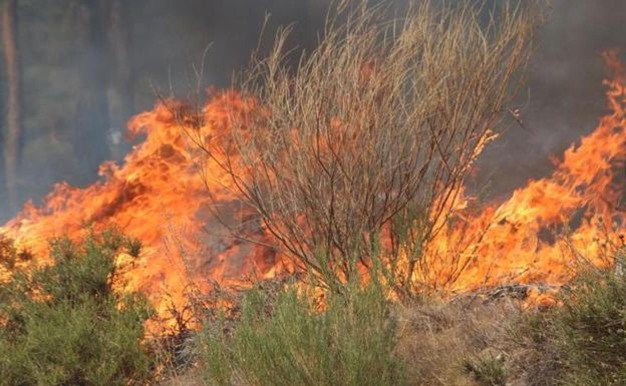 Imagen de archivo de un incendio en la provincia de León.