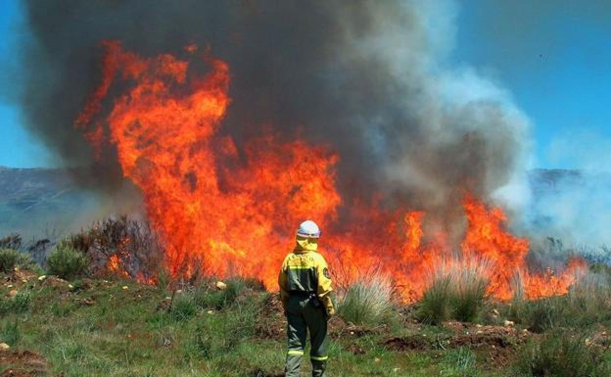 Imagen de archivo de un incendio declarado en la provincia de León.