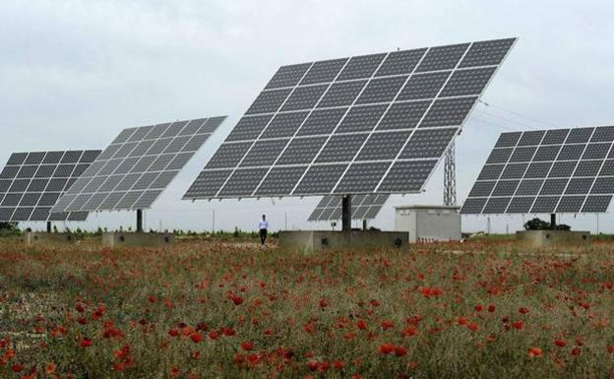 Paneles solares instalados en territorio español.