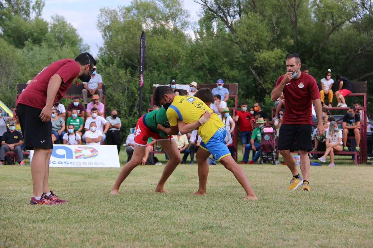 Corro de lucha de Valdefresno.