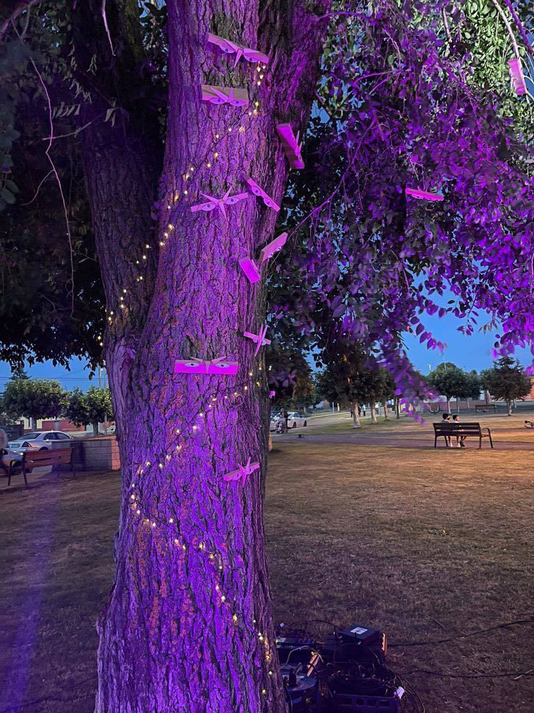 Fotos: Carrizo con Arte. Tiempo para DesarrollArte sin violentArte