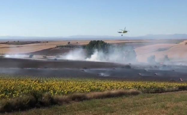 Imagen del medios aéreos actuando en el incendio de esta tarde en Valdesaz de los Oteros. 