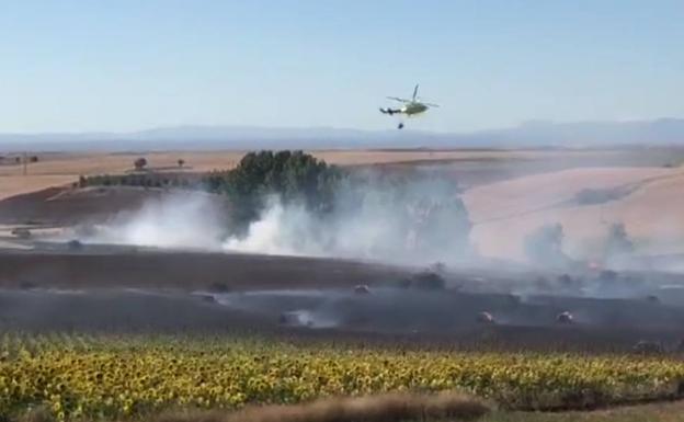 Imagen del helicóptero este jueves en Valdesaz de los Oteros. 