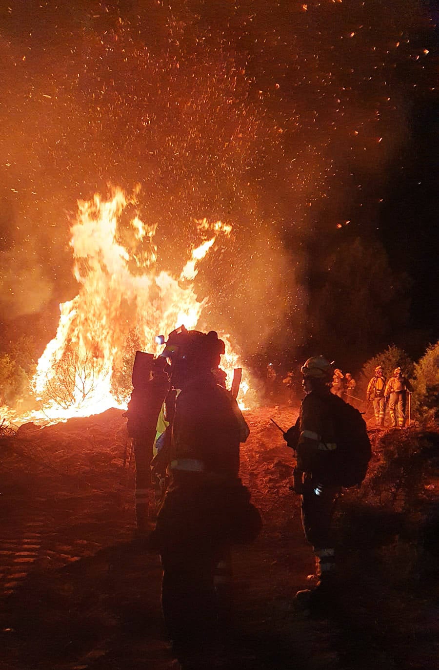 Fotos: Incendio forestal en El Tiemblo