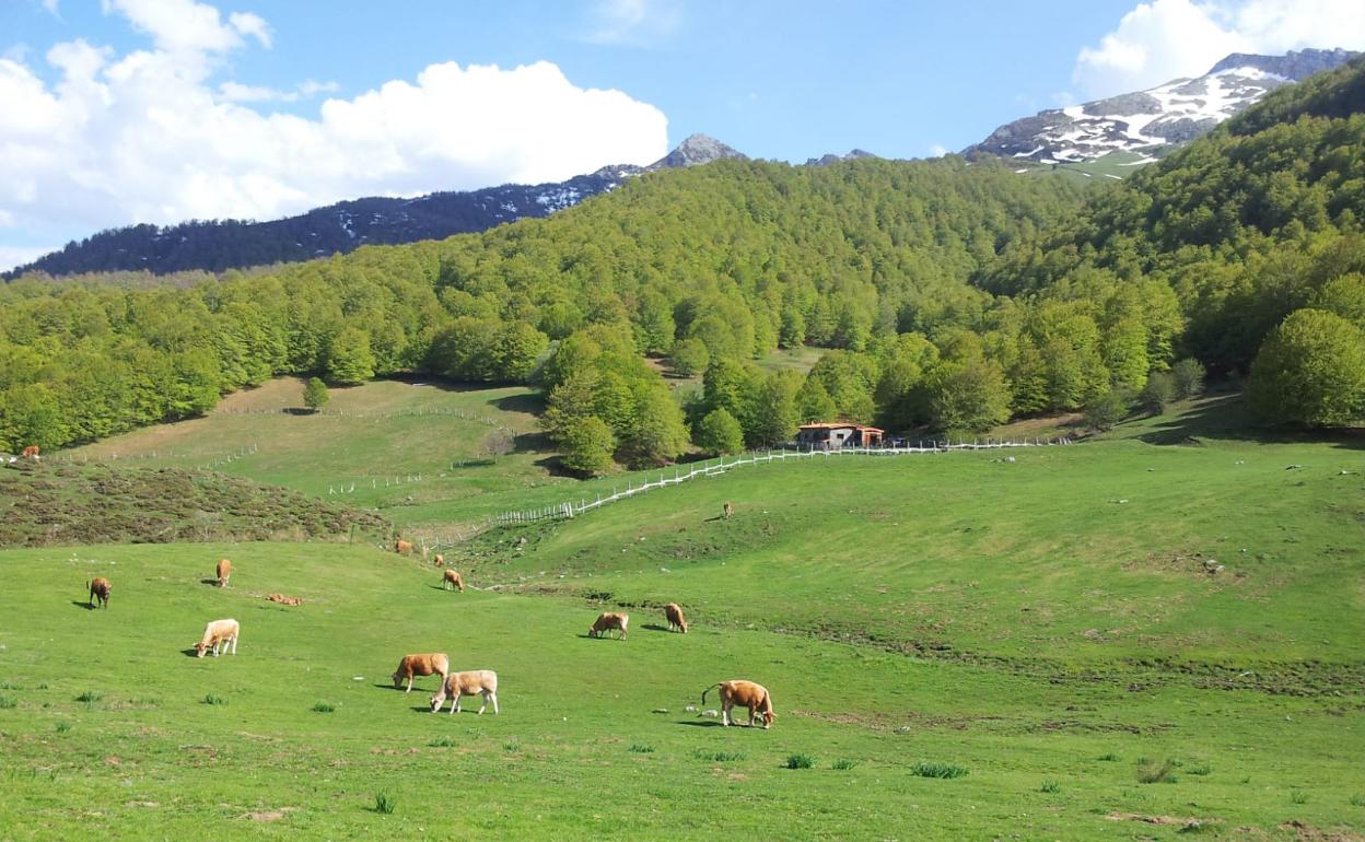 Refugio de Vegabaño.