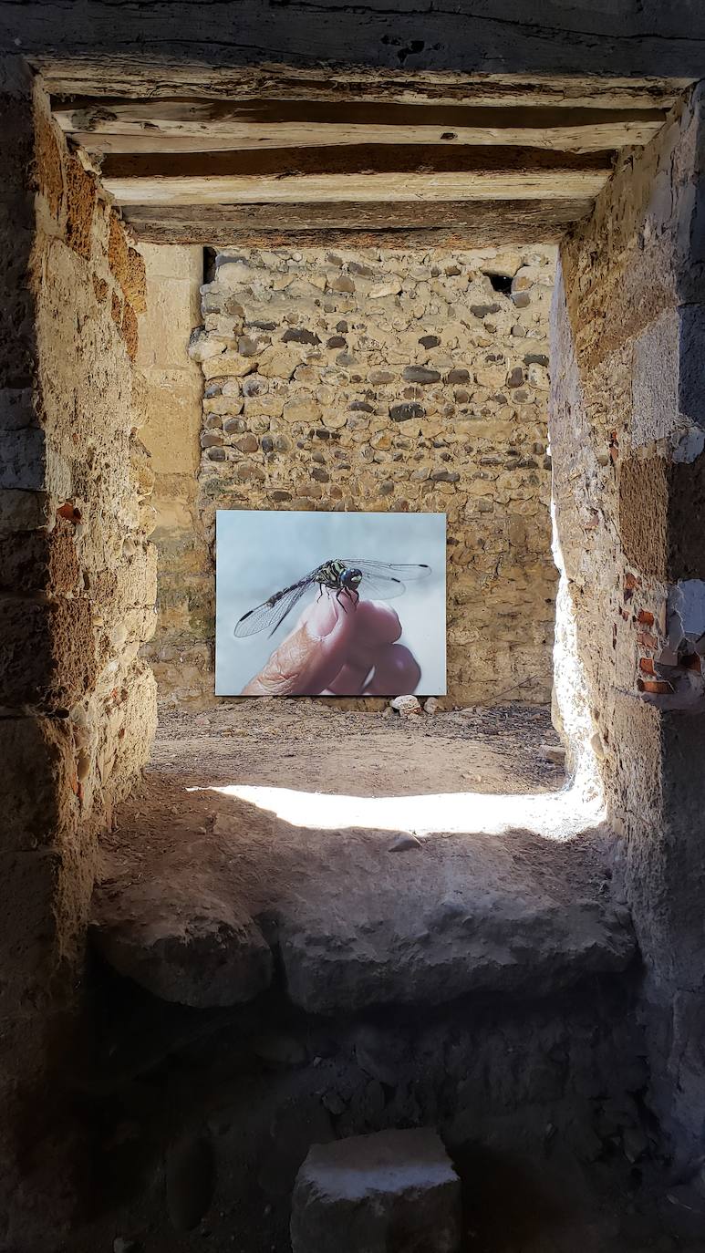 El monasterio de Sandoval, en plena reconstrucción y con una rica historia en su interior, recupera su encanto y atrapa al visitante con una singular exposición con 570 obras de 350 artistas | La comunión histórica y modernista convierte el escenario en un lugar de visita obligada. 