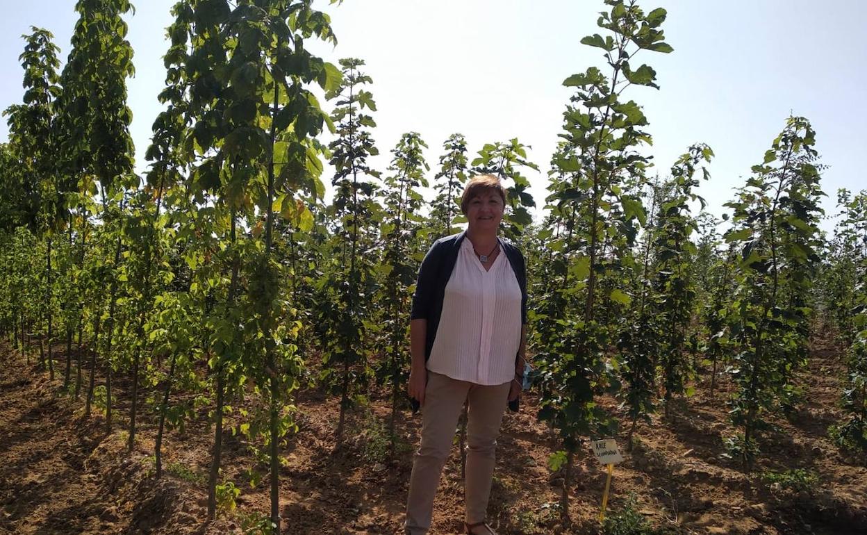 La Diputación repartirá toda la producción del vivero a ayuntamientos y pedanías que soliciten árboles y plantas