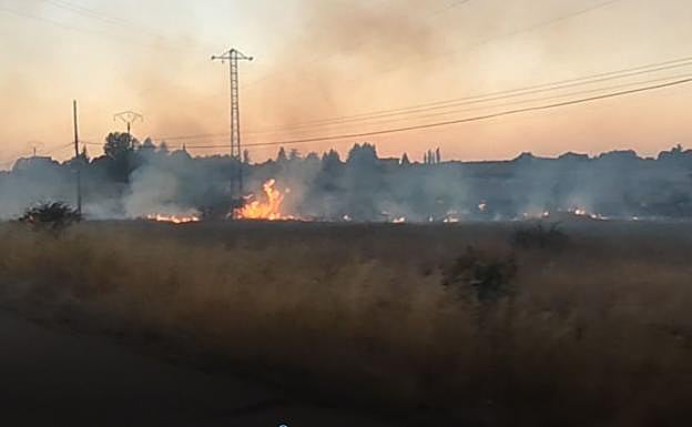 Llamas propagadas por la zona de Montejos del Camino.