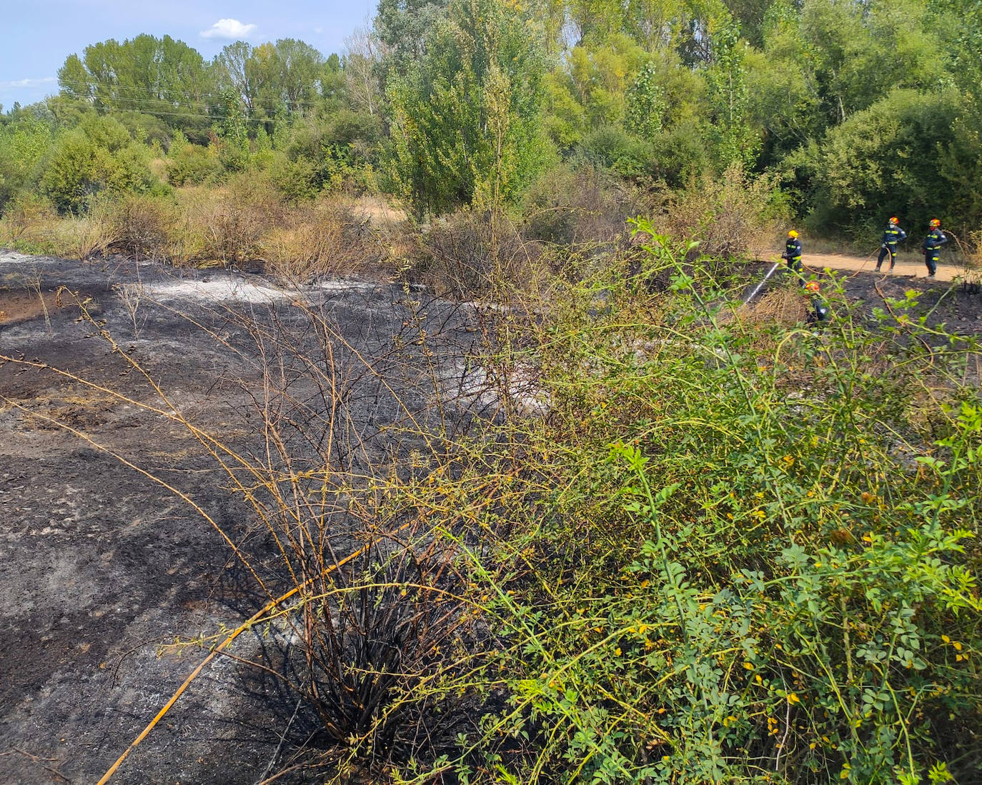 Los Bomberos de León han sofocado un incendio en unos solares de Villabalter