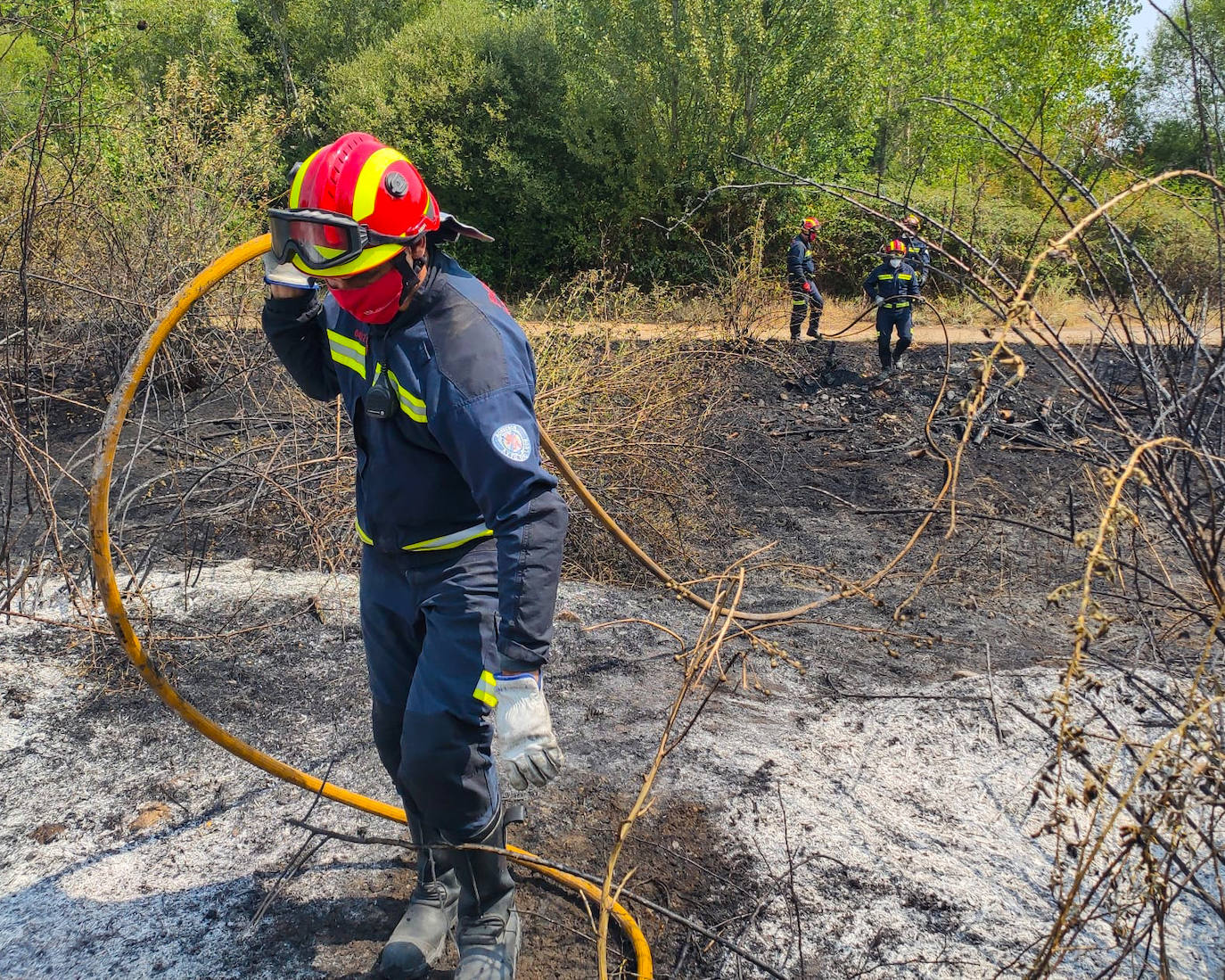 Los Bomberos de León han sofocado un incendio en unos solares de Villabalter