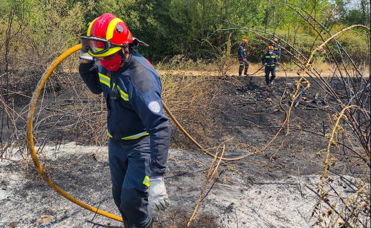 Intervención de los Bomberos de León en la extinción del incendio en unos solares de Villabalter.