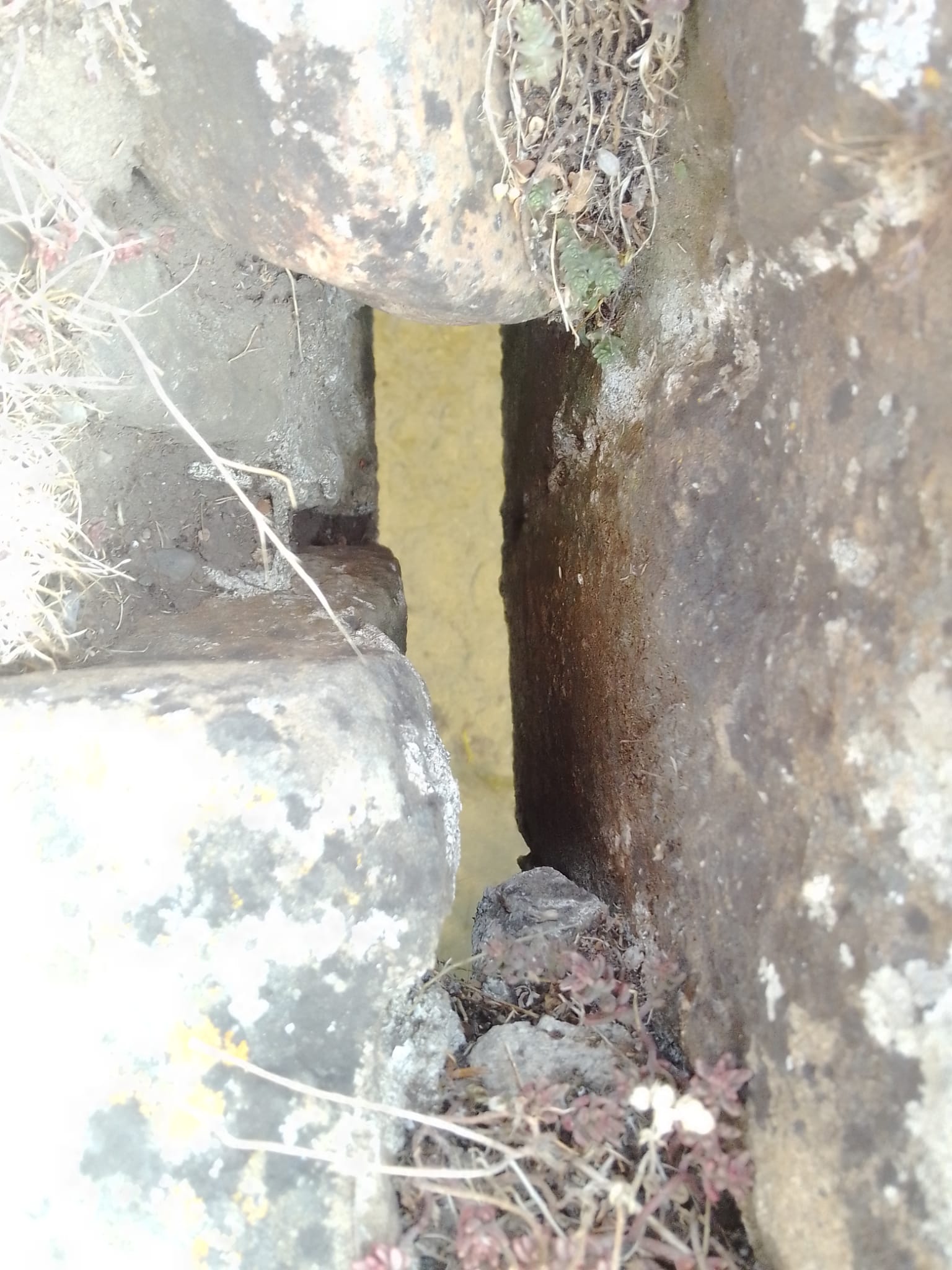 Estado actual del Puente Villalfeide.