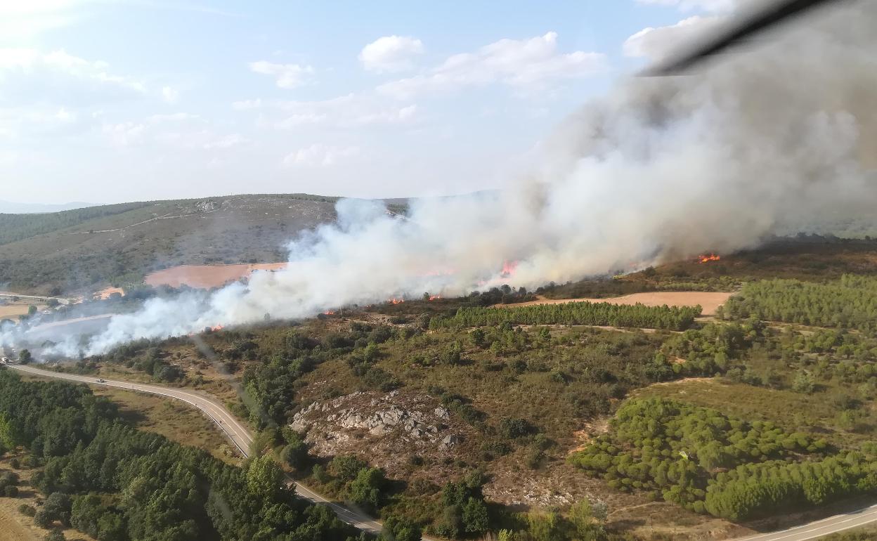 Declaran nivel 1 en un incendio en Carracedo de Vidriales (Zamora) por posible afección a más de 30 hectáreas de arbolado