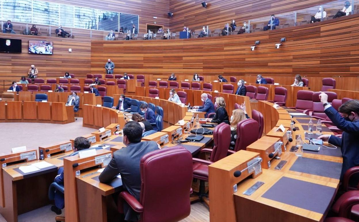 Pleno de las Cortes de Castilla y León.