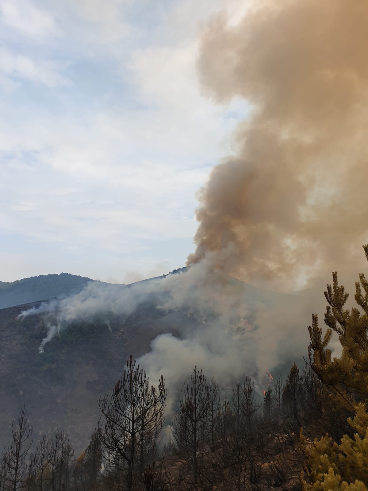 Medios aéreos y terrestres trabajan en las labores de extinción del incendio, cuyo origen se investiga, declarado en la madrugada de este lunes en el denominado Valle Estremero, e ntre los municipios leoneses de Riaño y Boca de Huérgano.