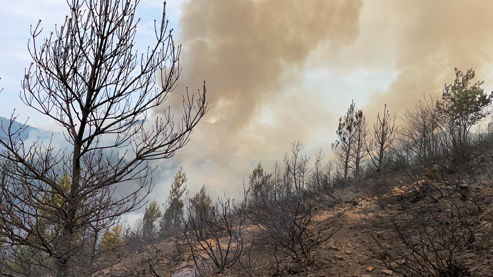 Medios aéreos y terrestres trabajan en las labores de extinción del incendio, cuyo origen se investiga, declarado en la madrugada de este lunes en el denominado Valle Estremero, e ntre los municipios leoneses de Riaño y Boca de Huérgano.