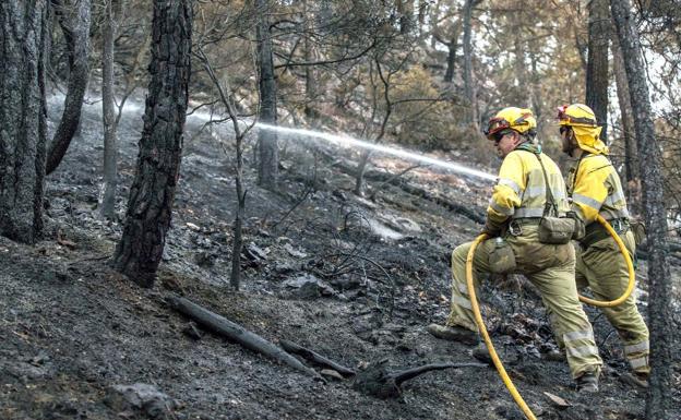 Imagen de unos brigadistas en plena extinción de un incendio.