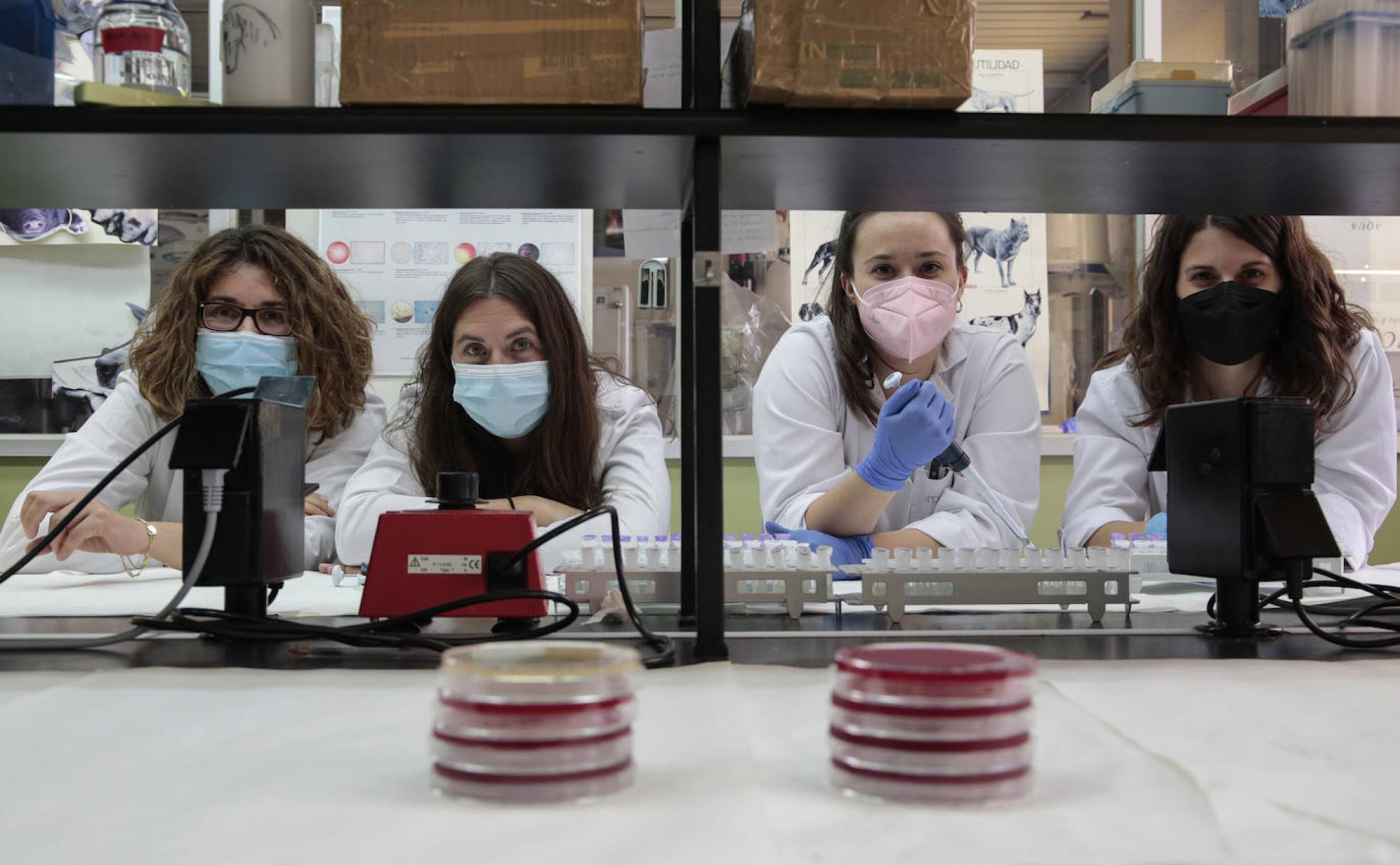 Aquilón CyL, empresa ubicada en el campus de la ULE dedicada a la investigación veterinaria.