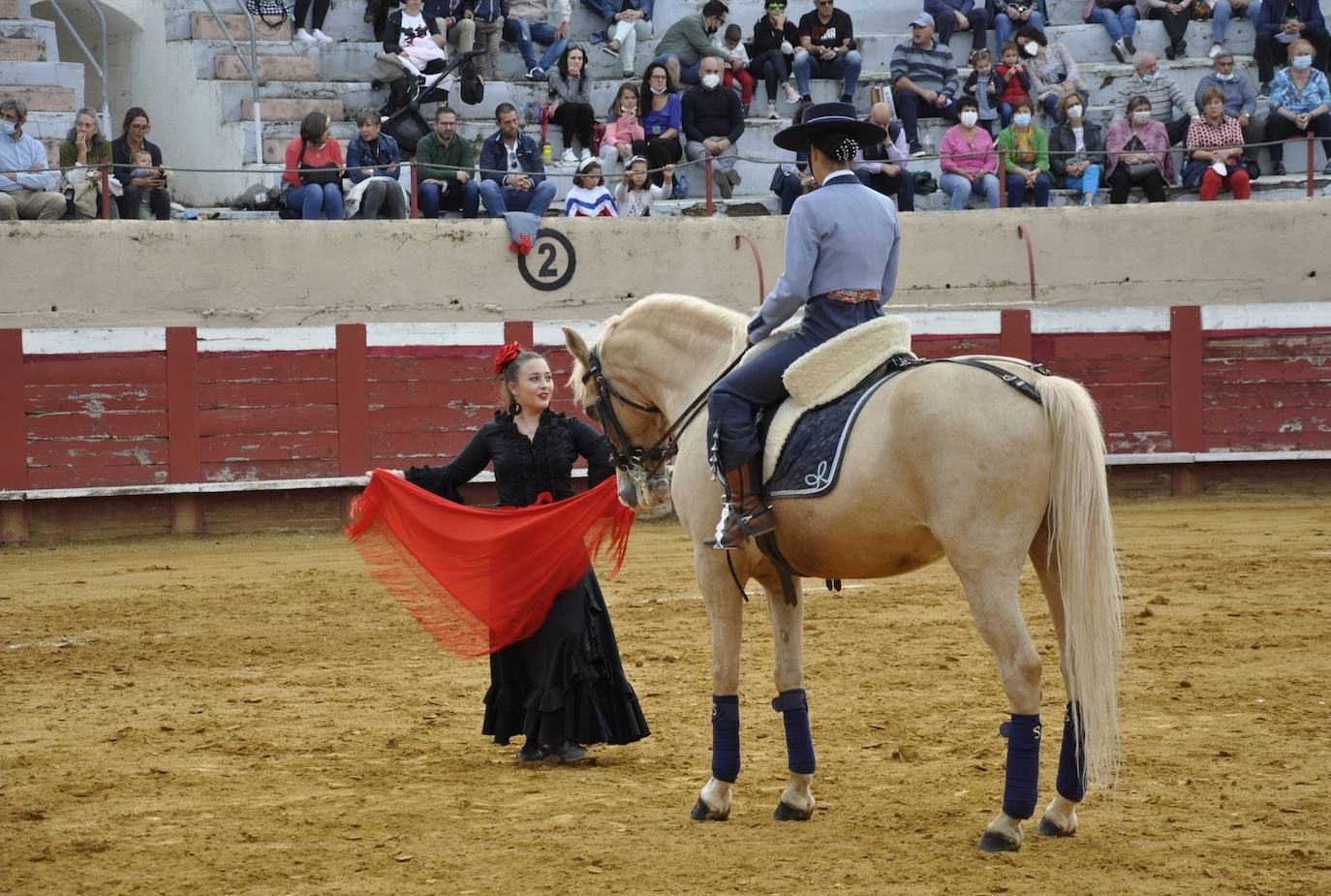 Fotos: Espectáculo ecuestre en Valencia de Don Juan