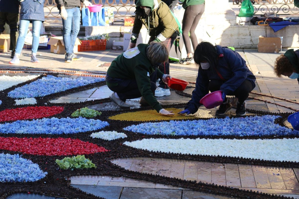 Fotos: Flores y color para San Froilán