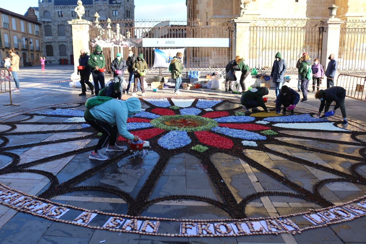 Fotos: Flores y color para San Froilán