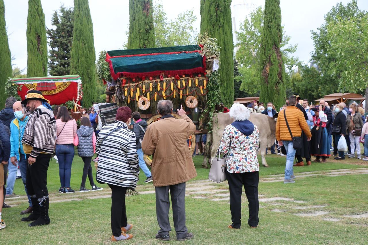 La romería se ha reanudado en este año tras un parón en 2020 por la pandemia con el ambiente festivo, el folclore y el colorido como protagonistas