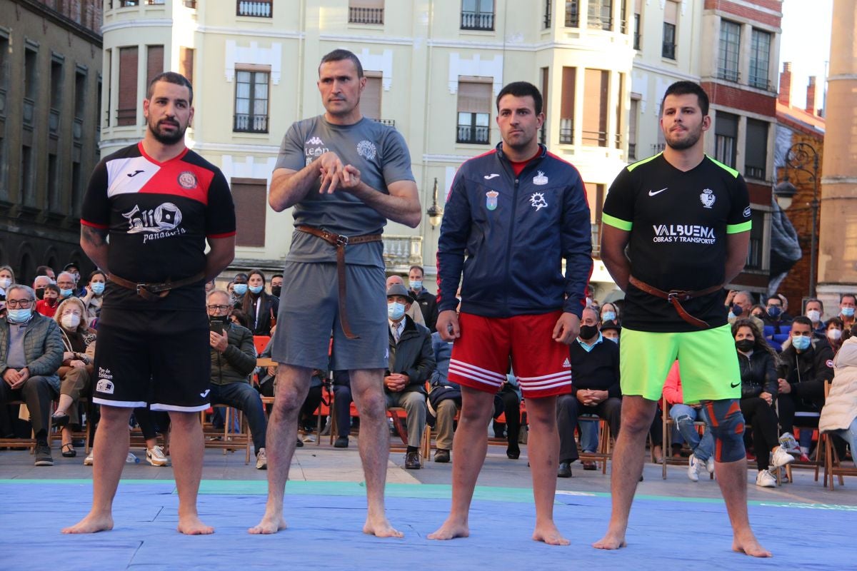 El tradicional corro de lucha de San Froilán vuelve a congregar a los aluches a los pies de la Pulchra Leonina.