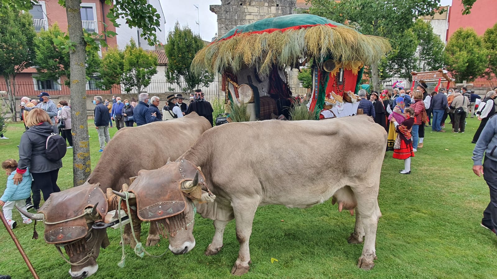 La romería se ha reanudado en este año tras un parón en 2020 por la pandemia con el ambiente festivo, el folclore y el colorido como protagonistas