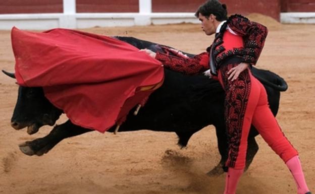 Toros en León.