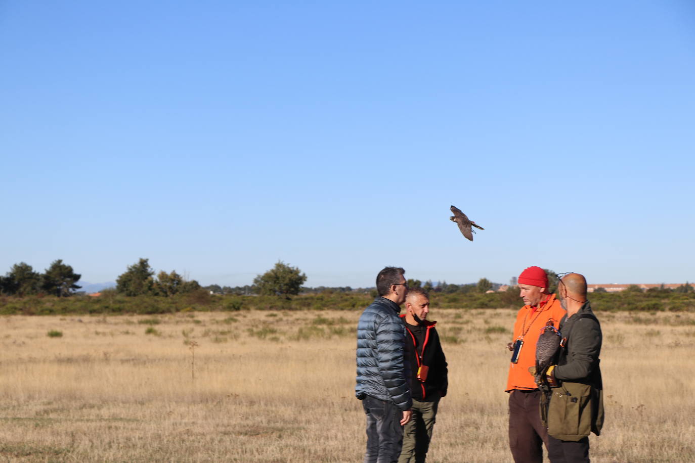 Los amantes de la aves se citan en la virgen del camino por la XXVI edición de las Jornadas Internacionales de Cetrería del Norte, tres días únicos en los que más de 10.000 personas disfrutarán de los vuelos de aves de caza, mercado y un sinfín de actividades . 