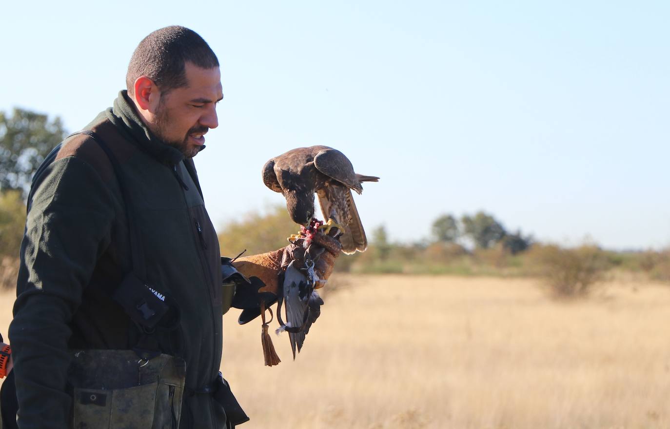 Los amantes de la aves se citan en la virgen del camino por la XXVI edición de las Jornadas Internacionales de Cetrería del Norte, tres días únicos en los que más de 10.000 personas disfrutarán de los vuelos de aves de caza, mercado y un sinfín de actividades . 