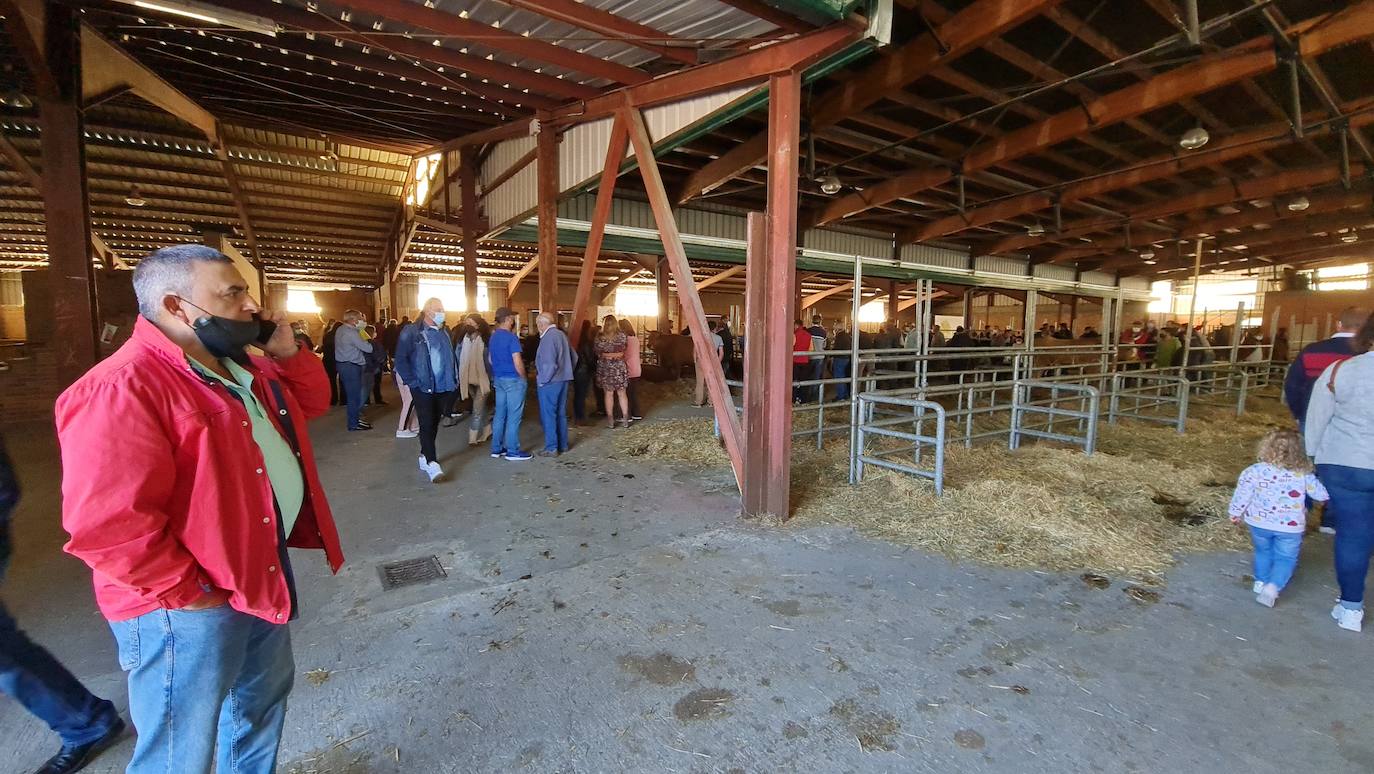 'Pulpadas', Feria de Ganado y más de 200 puestos llenan de color el Valle de Laciana.