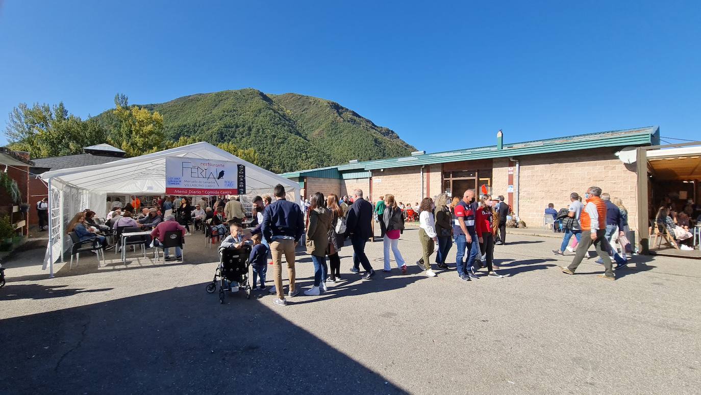 'Pulpadas', Feria de Ganado y más de 200 puestos llenan de color el Valle de Laciana.