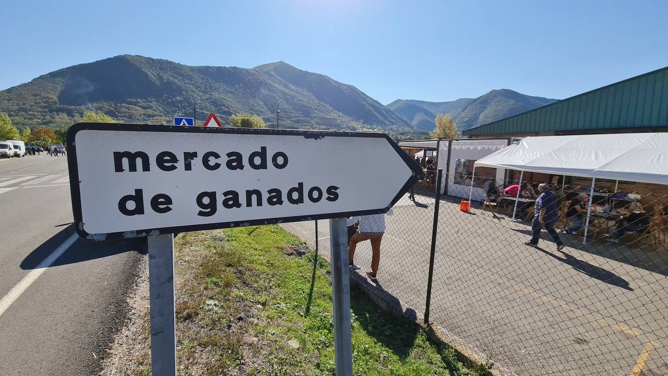 'Pulpadas', Feria de Ganado y más de 200 puestos llenan de color el Valle de Laciana.