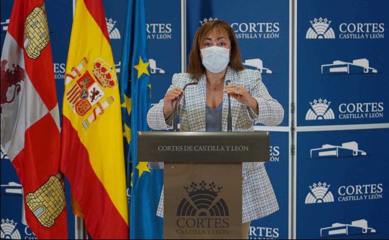 La procuradora de Ciudadanos por Zamora, María Teresa Gago López, ofrece una rueda de prensa para analizar el proyecto de Ley LOMSERGO.