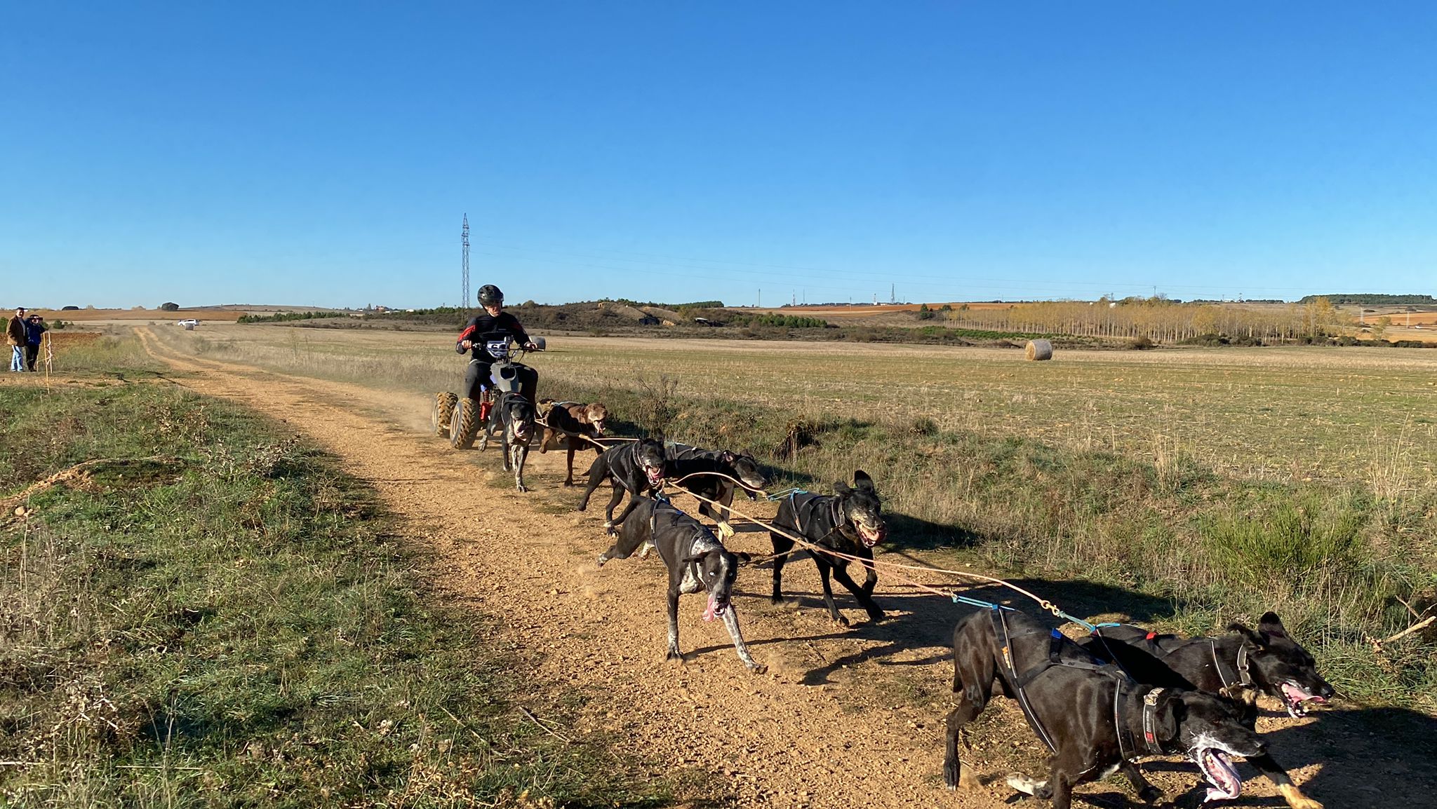 Imagen de un participante junto a sus perros en la Transobarriba.