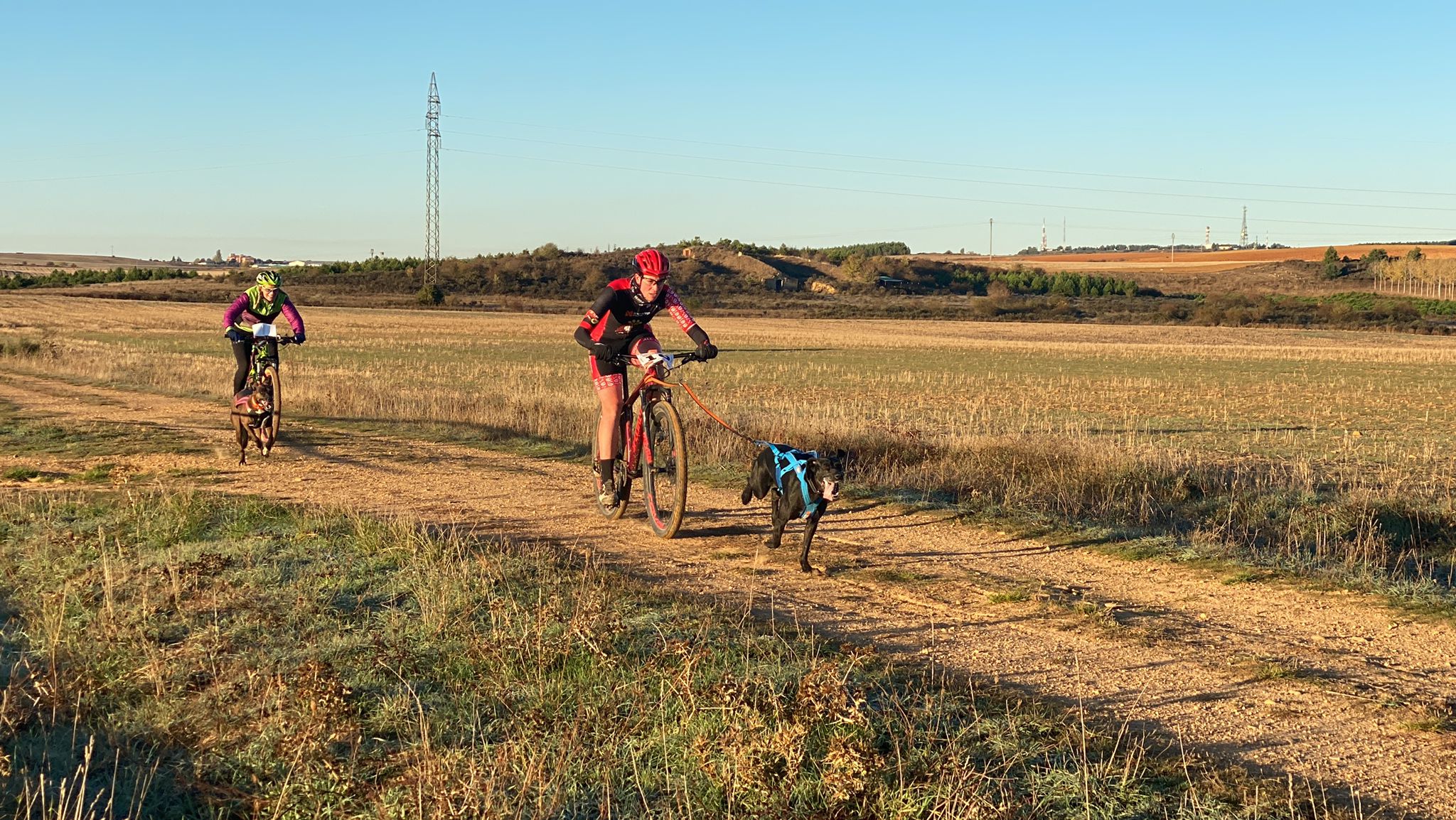 125 participantes de cuatro disciplinas han rodado con sus perros en la mañana de este domingo por las tierras de la Sobarriba.