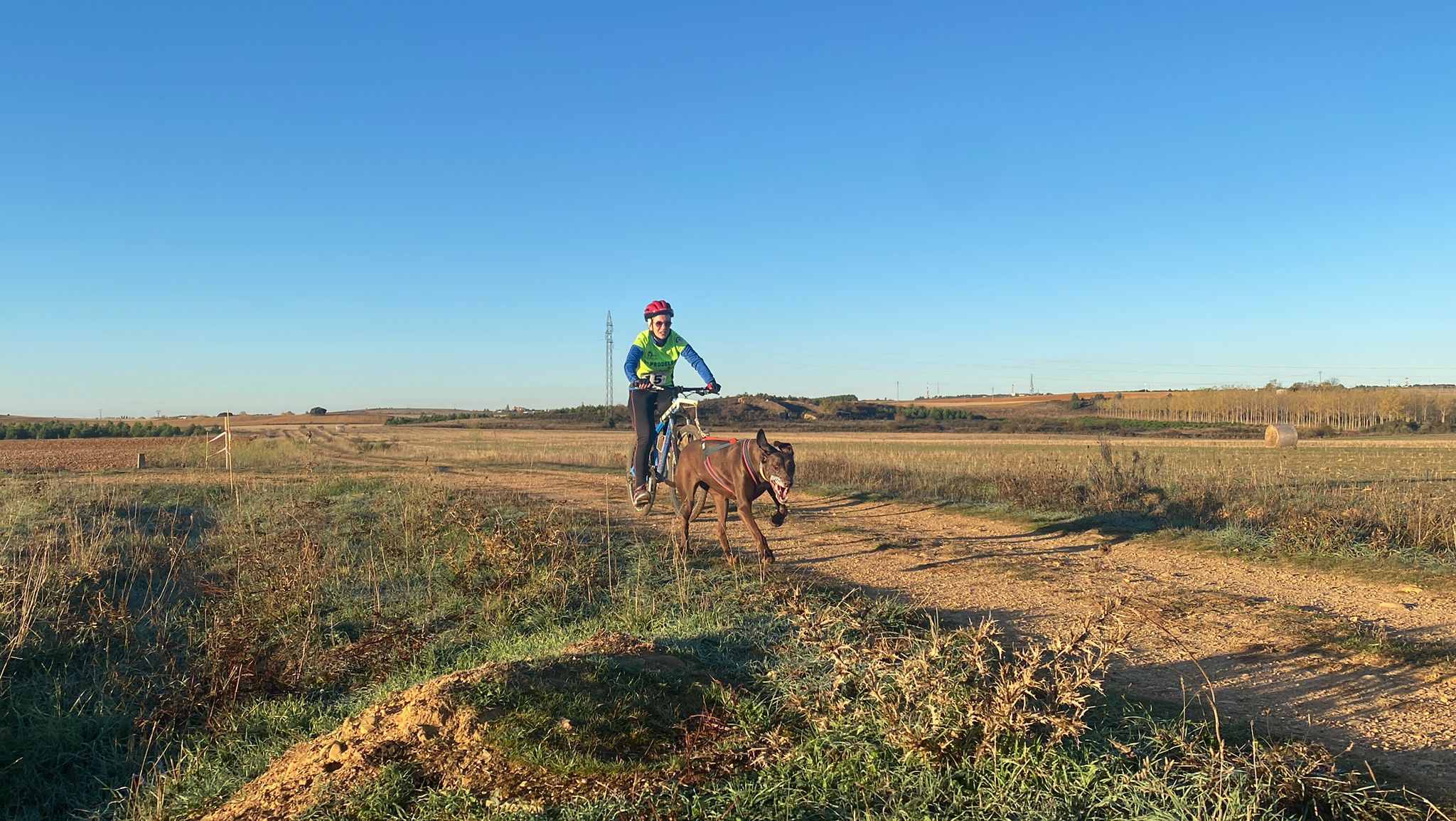 125 participantes de cuatro disciplinas han rodado con sus perros en la mañana de este domingo por las tierras de la Sobarriba.