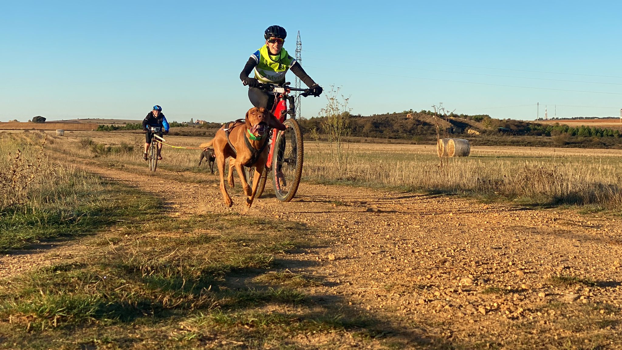 125 participantes de cuatro disciplinas han rodado con sus perros en la mañana de este domingo por las tierras de la Sobarriba.