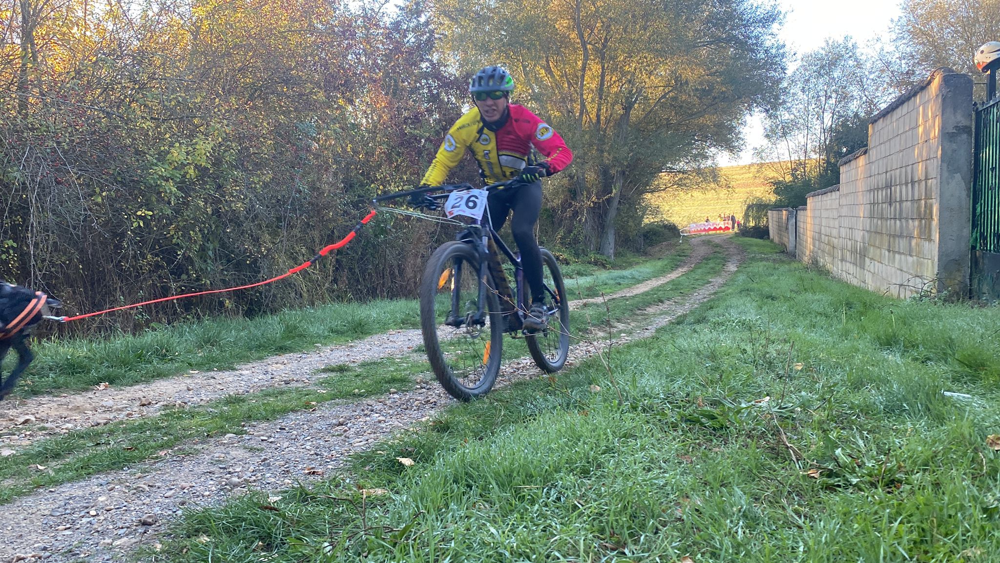 125 participantes de cuatro disciplinas han rodado con sus perros en la mañana de este domingo por las tierras de la Sobarriba.